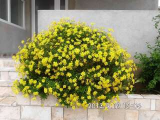 Апартаменты Apartments Samardžić Тиват Номер-студио с террасой (3 взрослых).-1