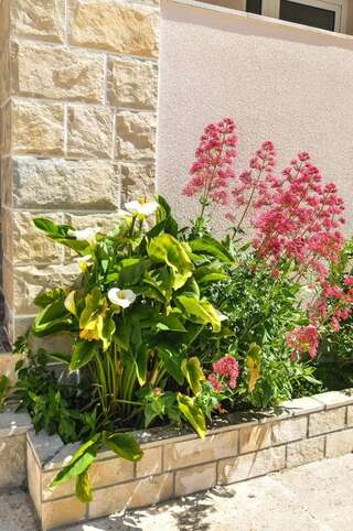 Апартаменты Apartments Samardžić Тиват Номер-студио с террасой (для 2 взрослых)-8