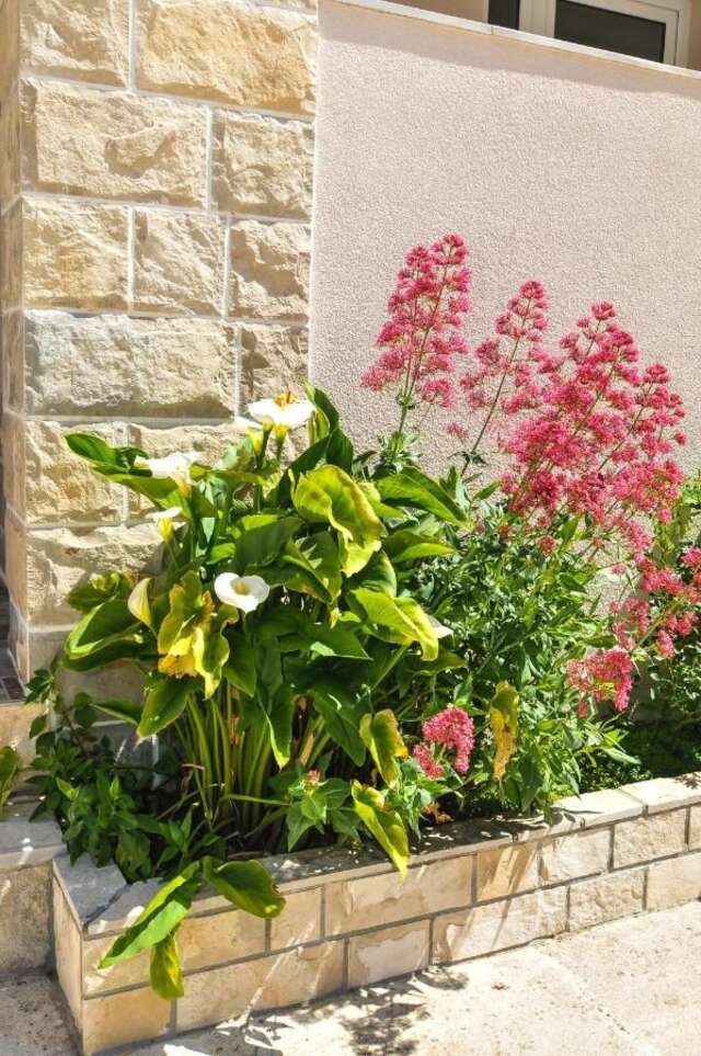 Апартаменты Apartments Samardžić Тиват-35